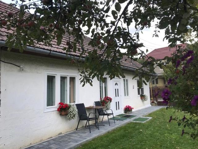Hotel Casuta Sanatatii Covasna Exteriér fotografie