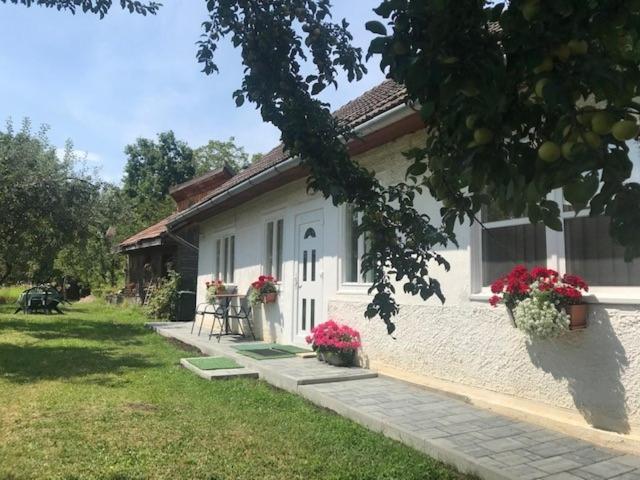 Hotel Casuta Sanatatii Covasna Exteriér fotografie