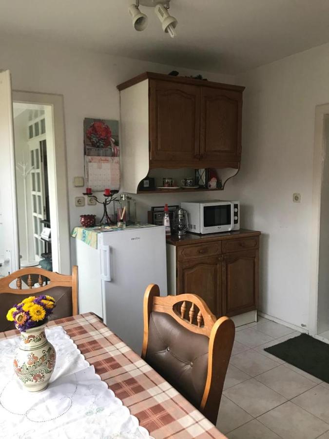 Hotel Casuta Sanatatii Covasna Exteriér fotografie