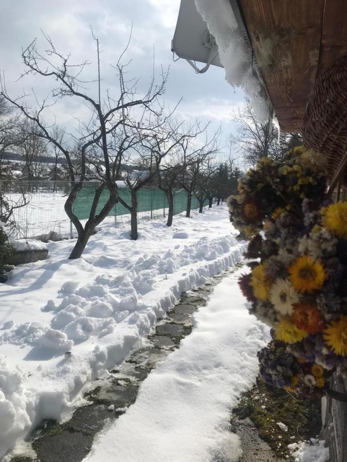 Hotel Casuta Sanatatii Covasna Exteriér fotografie